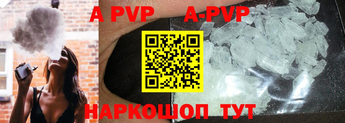 Alfa_PVP СК КРИС Коряжма