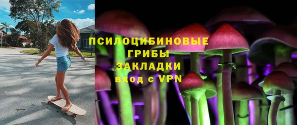 соль ск Алексин