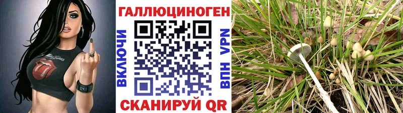 купить наркотик  Коряжма  Галлюциногенные грибы Magic Shrooms 