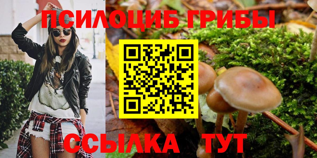 Псилоцибиновые грибы прущие грибы Коряжма