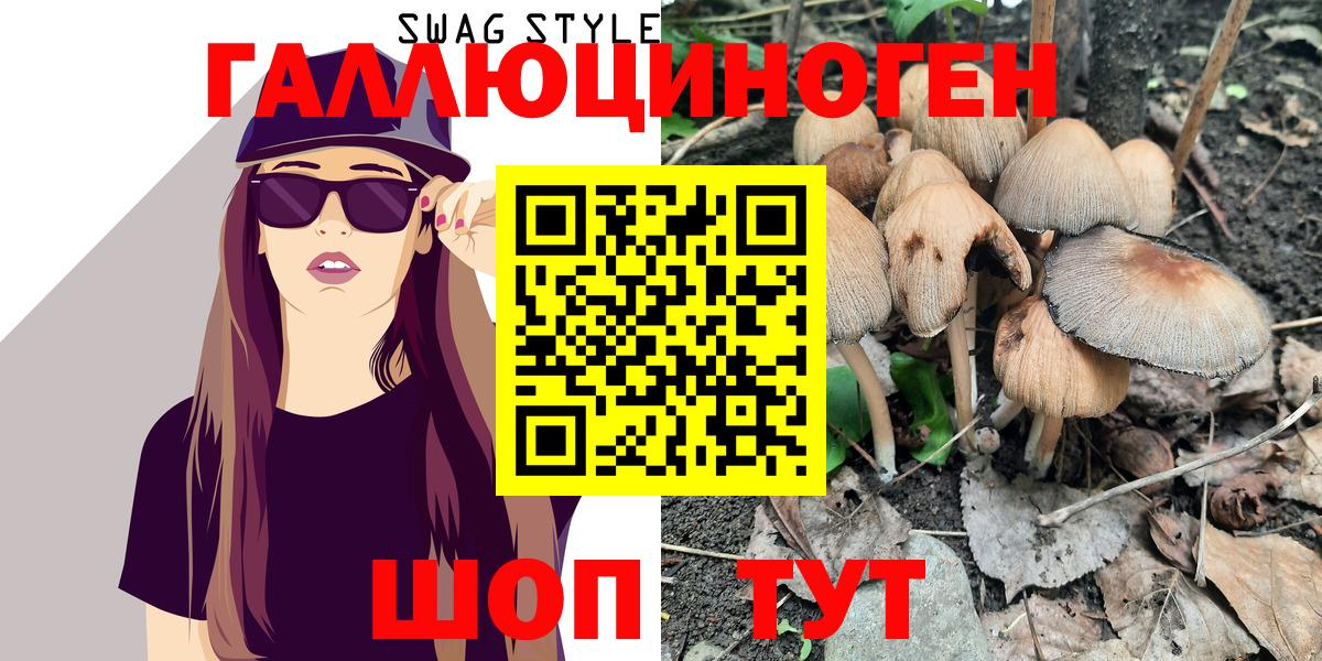Псилоцибиновые грибы MAGIC MUSHROOMS  Вход с VPN  Коряжма 
